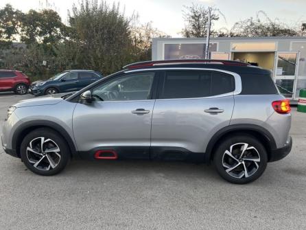 CITROEN C5 Aircross BlueHDi 130ch S&S Shine à vendre à Dijon - Image n°8