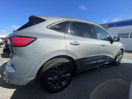 FORD Kuga 1.5 EcoBlue 120 ch ST-Line BVA à vendre à Troyes - Image n°4